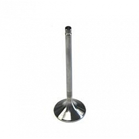 Dart Exhaust Valve - 21311880