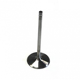 Dart Intake Valve - 21342300