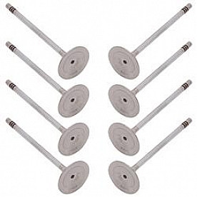 Ford Performance Intake Valve - M-6507-M52