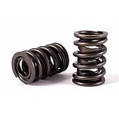 Crane Valve Spring - 9989016