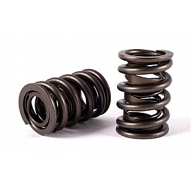 Crane Valve Spring - 9989016