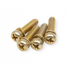 Quick Fuel Technology Accelerator Pump Cover Screw 52