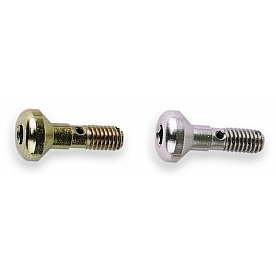 Moroso Performance Accelerator Pump Discharge Nozzle Screw 65442