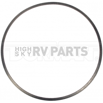 Dorman (OE Solutions) Diesel Particulate Filter Gasket 6749010-2