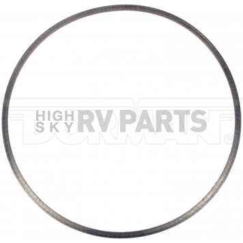 Dorman (OE Solutions) Diesel Particulate Filter Gasket 6749010-3