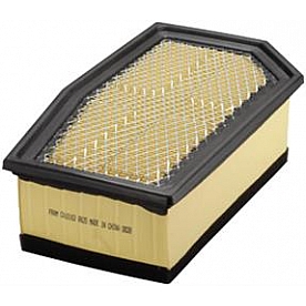 Fram Air Filter - CA10162