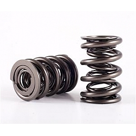 Crane Valve Spring - 96124616