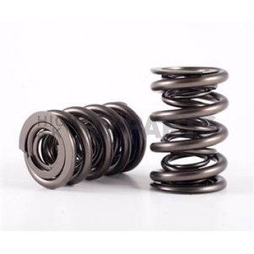 Crane Valve Spring - 96124616