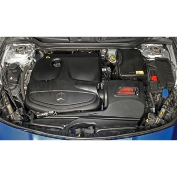 AEM Induction Cold Air Intake - 21-781DS-2