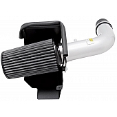 AEM Induction Cold Air Intake - 21-8314DP