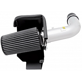 AEM Induction Cold Air Intake - 21-8314DP