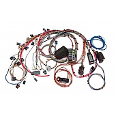 Painless Wiring Engine Wiring Harness 60526