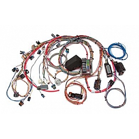 Painless Wiring Engine Wiring Harness 60526