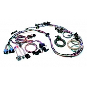 Painless Wiring Engine Wiring Harness 60102