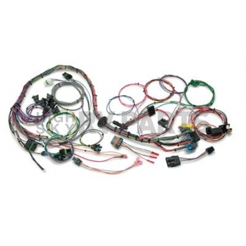 Painless Wiring Engine Wiring Harness 60103