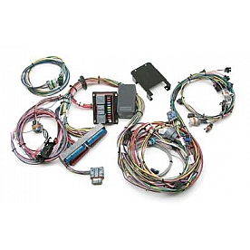 Painless Wiring Engine Wiring Harness 60221