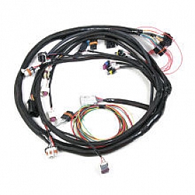 Holley  Performance Engine Wiring Harness 558104