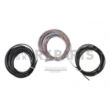 Holley  Performance Engine Control Module Wiring Harness 558456