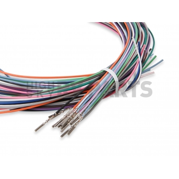 Holley  Performance Engine Control Module Wiring Harness 558456-2