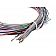 Holley  Performance Engine Control Module Wiring Harness 558456
