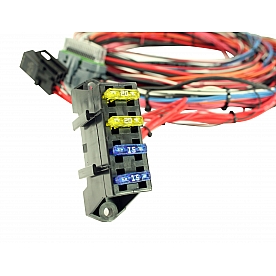AEM Electronics Engine Control Module Wiring Harness 30290596