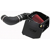 AEM Induction Cold Air Intake - 21-9033DS