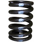 Crown Automotive Jeep Replacement Engine Valve Spring J3228192