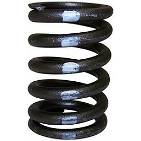 Crown Automotive Jeep Replacement Engine Valve Spring J3228192