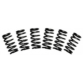 BD Diesel Valve Spring - 1030060