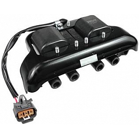 NGK Wires Ignition Coil 48818