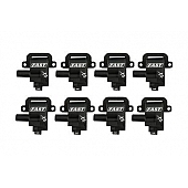 Fast Ignition Coil 303868