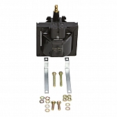 Delphi Technologies Ignition Coil GN10048
