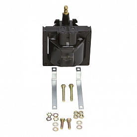 Delphi Technologies Ignition Coil GN10048
