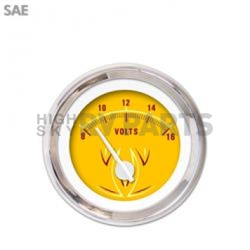 Aurora Instuments Gauge Voltmeter 2096