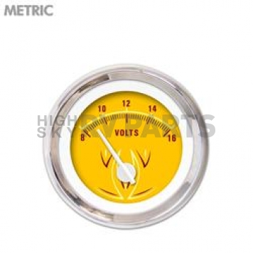 Aurora Instuments Gauge Voltmeter 5727
