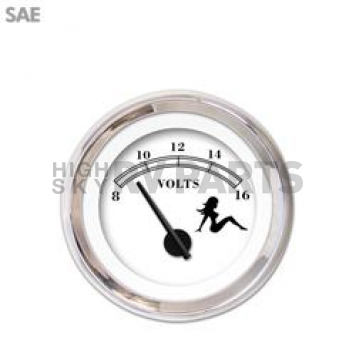 Aurora Instuments Gauge Voltmeter 3401