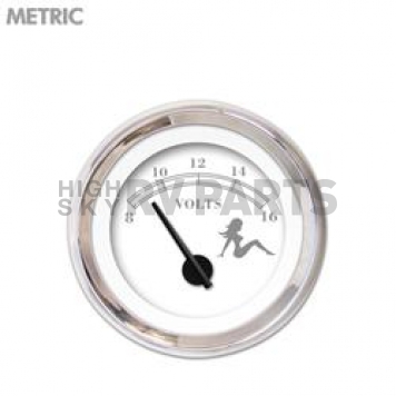 Aurora Instuments Gauge Voltmeter 7043