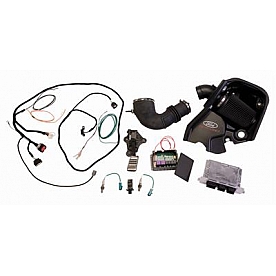 Ford Performance Electronic Accelerator Pedal Conversion M6017463V