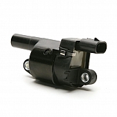 Delphi Technologies Ignition Coil GN10165
