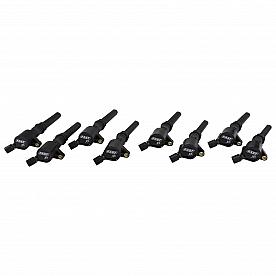 Fast Ignition Coil 303908
