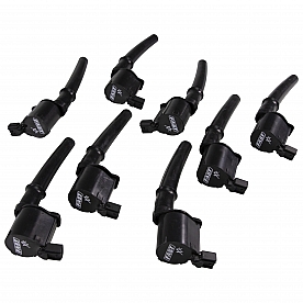 Fast Ignition Coil 303918