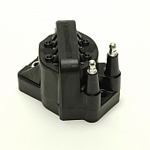 Delphi Technologies Ignition Coil GN10123