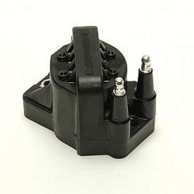 Delphi Technologies Ignition Coil GN10123