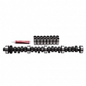 Edelbrock Camshaft and Lifter Kit 7168