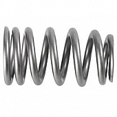 Ford Performance Valve Spring - M-6513-1219X