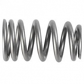 Ford Performance Valve Spring - M-6513-1219X
