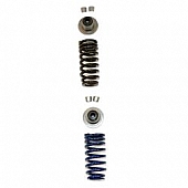 Ford Performance Valve Spring - M-6513-M52