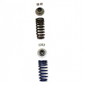 Ford Performance Valve Spring - M-6513-M52