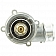 MotorRad/ CST Thermostat 918189