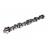 COMP Cams Camshaft 358199